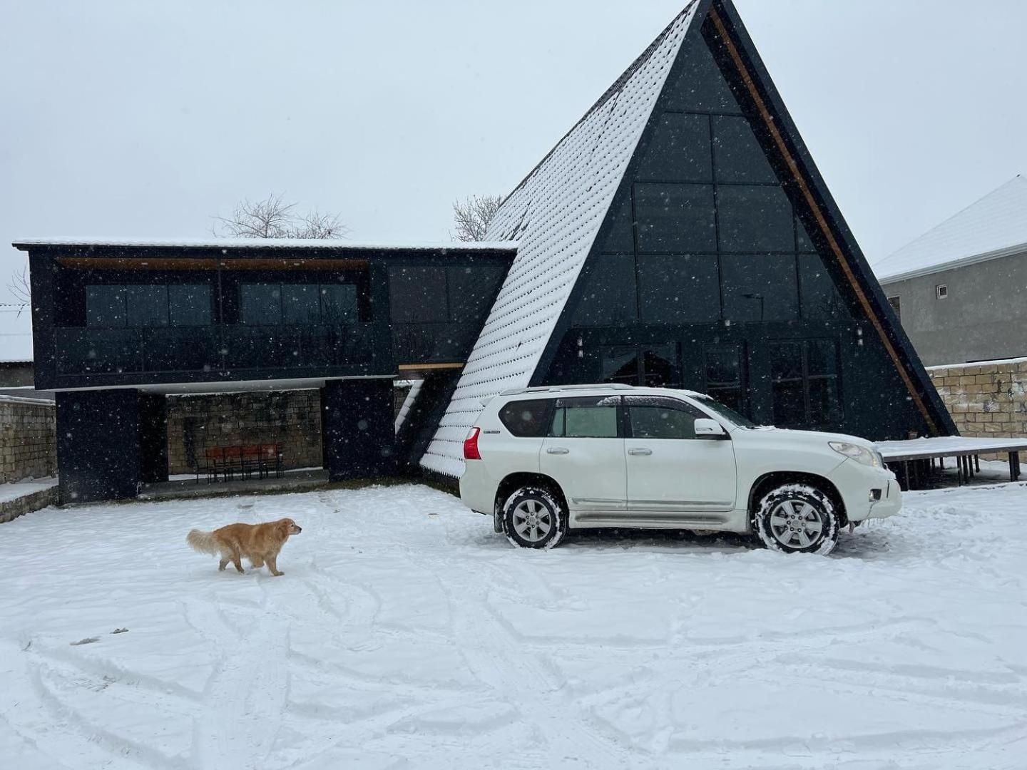 Qafqaz Wood Chalet Gabala Exterior photo